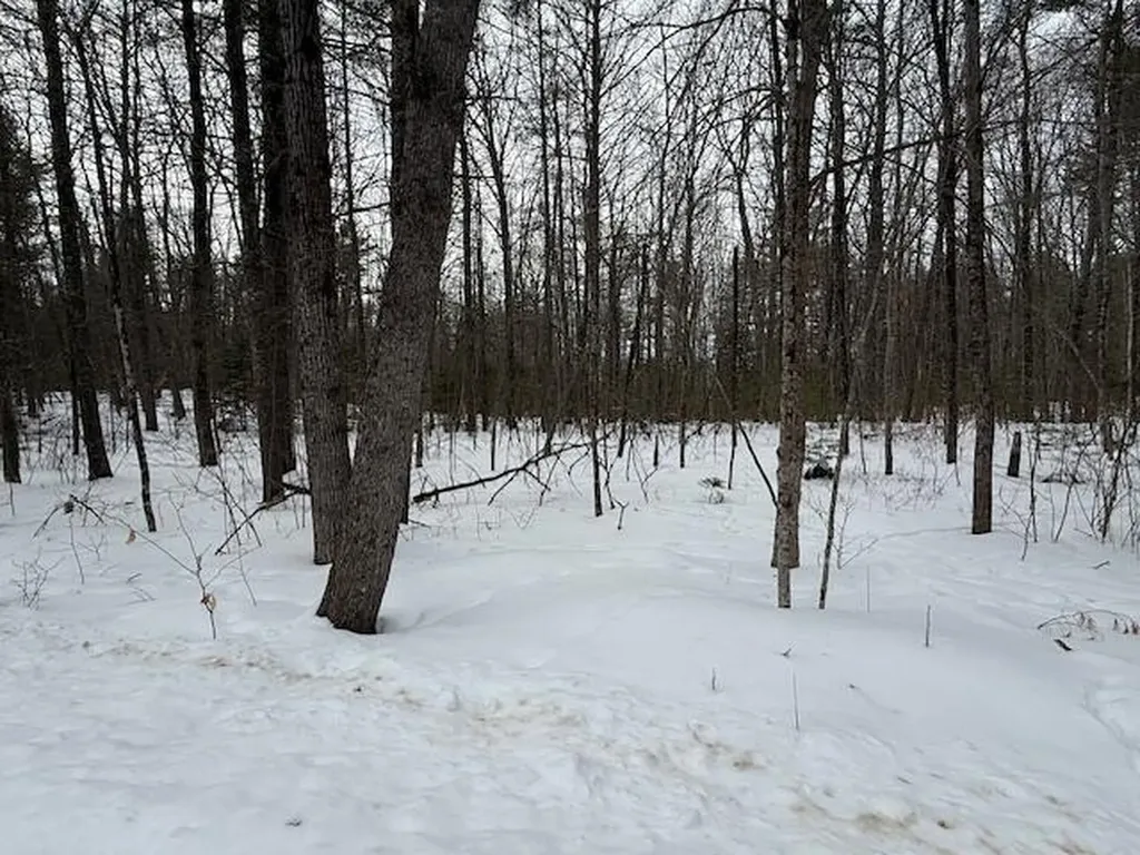 Lot 2 Willow Way Jefferson ME 04348