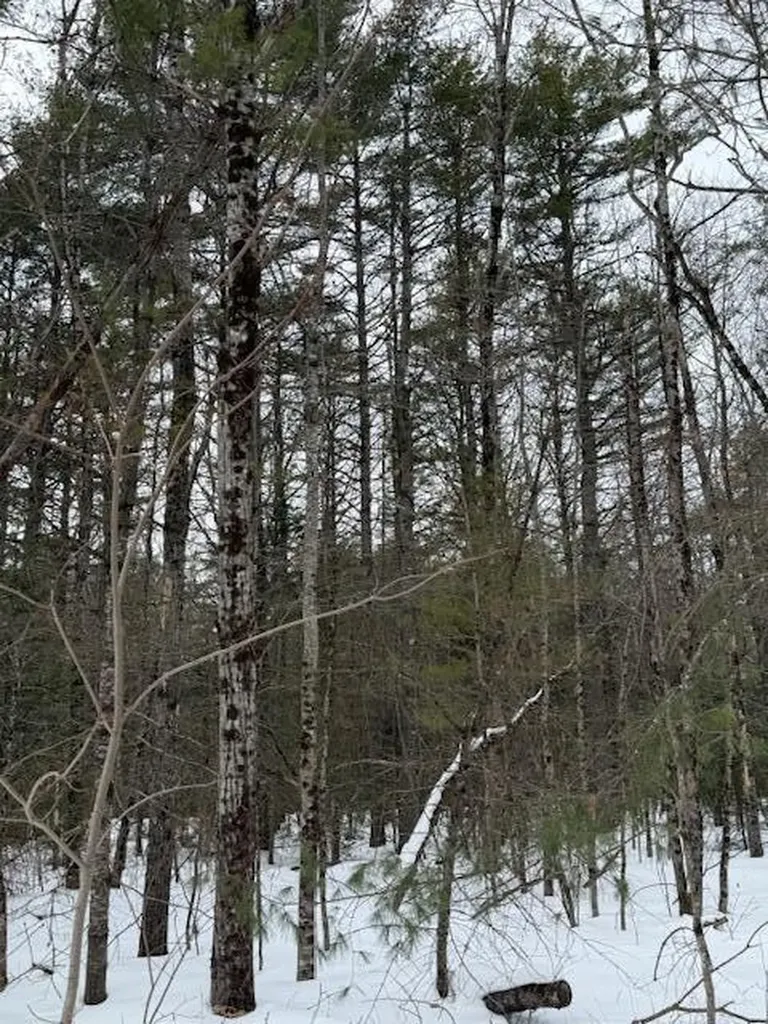 Lot 1 Willow Way Jefferson ME 04348