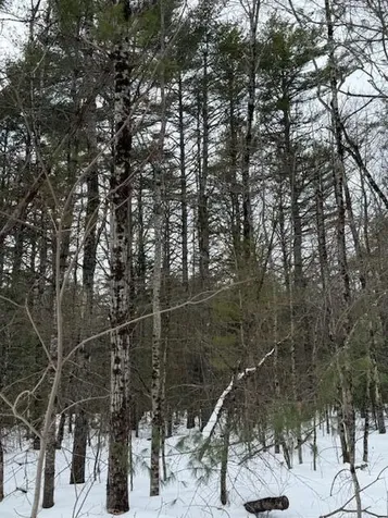 Lot 1 Willow Way Jefferson ME 04348