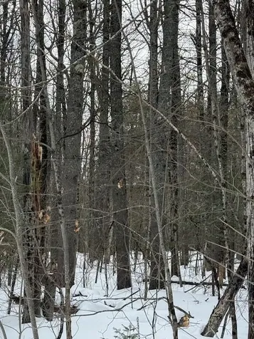 Lot 1 Willow Way Jefferson ME 04348