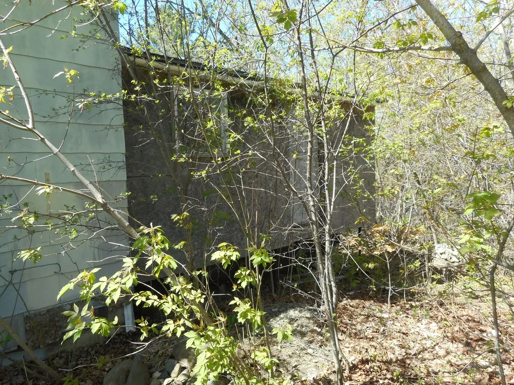36 Hayes Street Old Town ME 04468