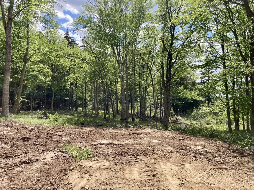 Lot 9-part Route 190 Road Eastport ME 04631