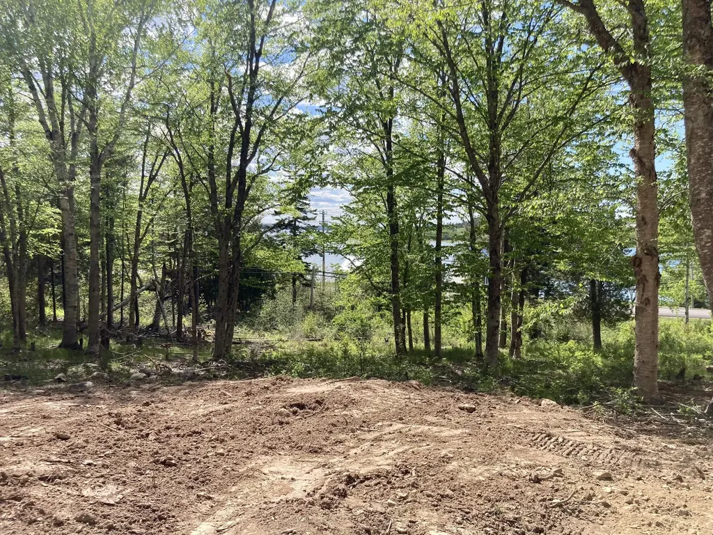 Lot 9-part Route 190 Road Eastport ME 04631