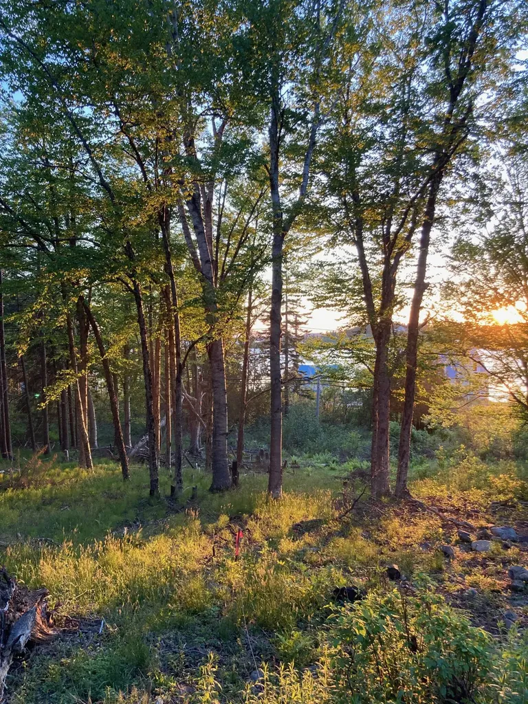 Lot 9-part Route 190 Road Eastport ME 04631