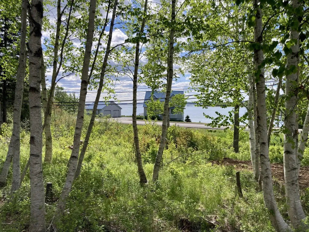 Lot 9-part Route 190 Road Eastport ME 04631