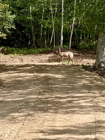 Lot 9-part Route 190 Road Eastport ME 04631