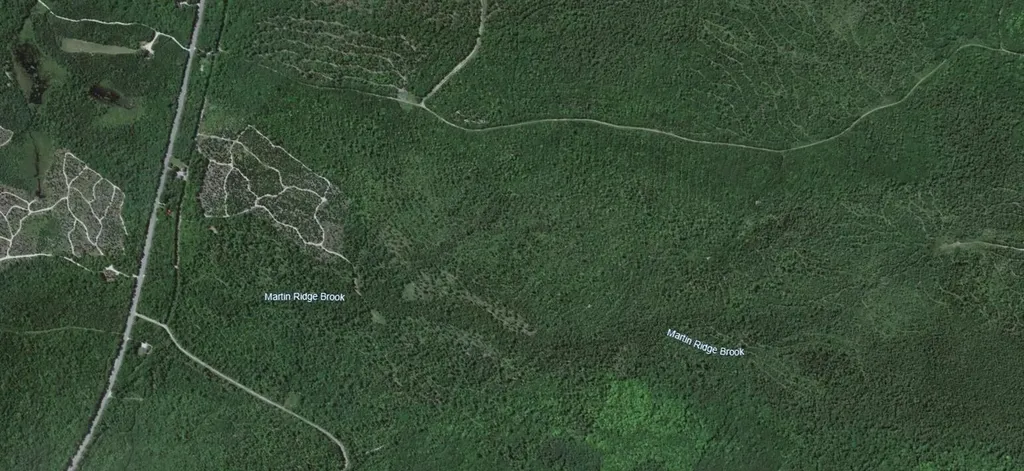 MAP10LOT27 Blackswoods Road Franklin ME 04634