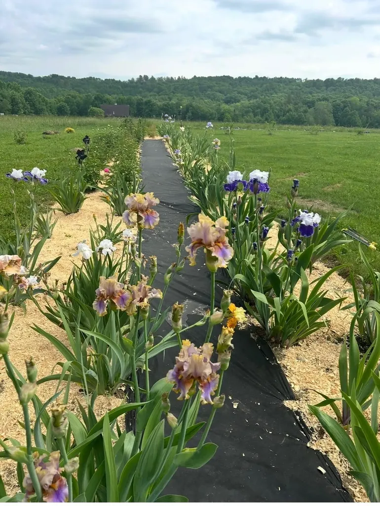 68 Pullen Road Dexter ME 04930