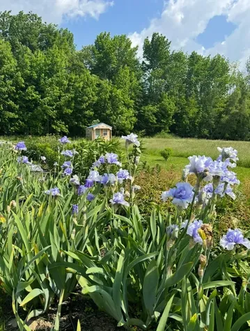 68 Pullen Road Dexter ME 04930