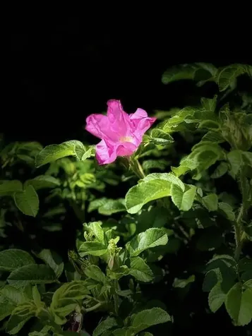 428 Bean Road Mount Vernon ME 04352