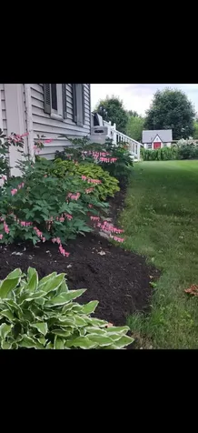 259 River Road Orrington ME 04474