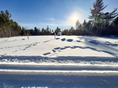 Lot 29 Independence Circle Prentiss Twp T7 R3 Nbpp ME 04487