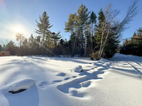 Lot 29 Independence Circle Prentiss Twp T7 R3 Nbpp ME 04487