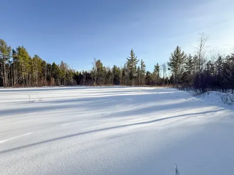 Lot 29 Independence Circle Prentiss Twp T7 R3 Nbpp ME 04487