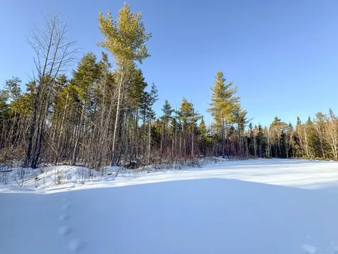 Lot 29 Independence Circle Prentiss Twp T7 R3 Nbpp ME 04487