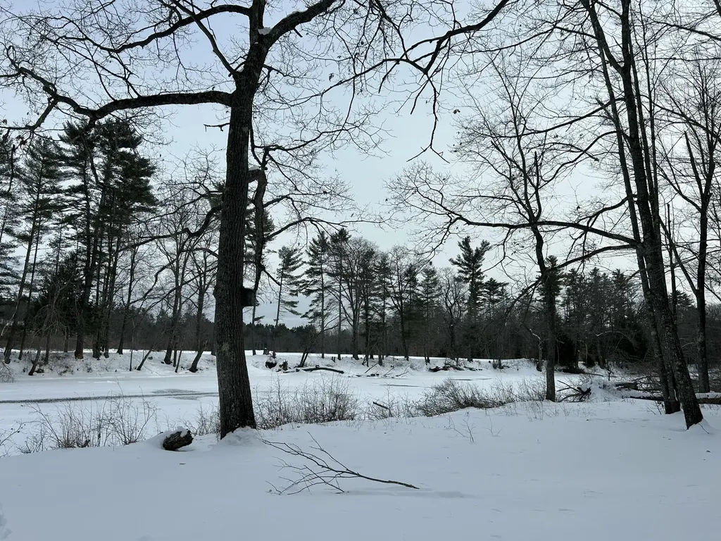 Lot 6 Old River Road Fryeburg ME 04037