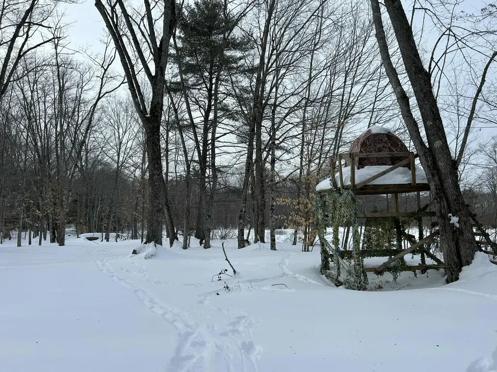 Lot 6 Old River Road Fryeburg ME 04037