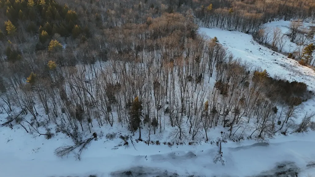 Lot 6 Old River Road Fryeburg ME 04037