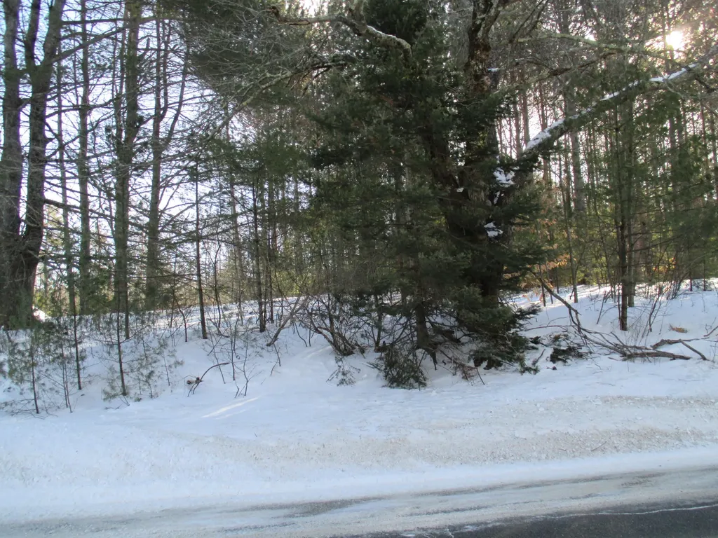795 Lot #2 Empire Road Poland ME 04274