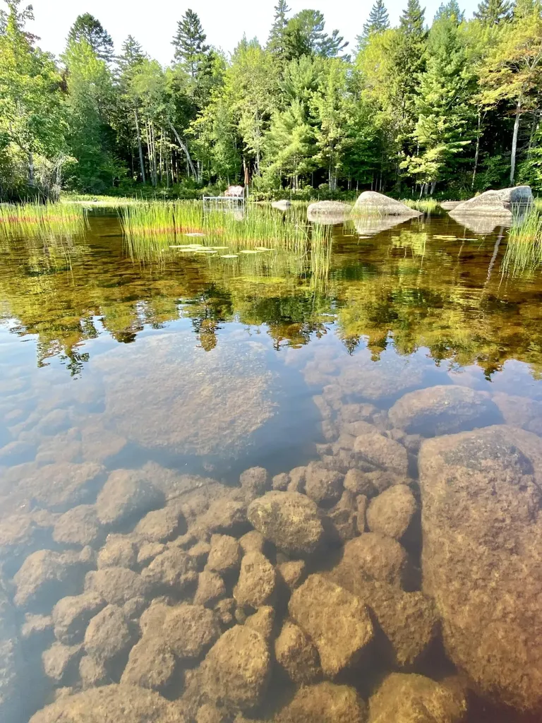 277 Gus Moore Road Penobscot ME 04476