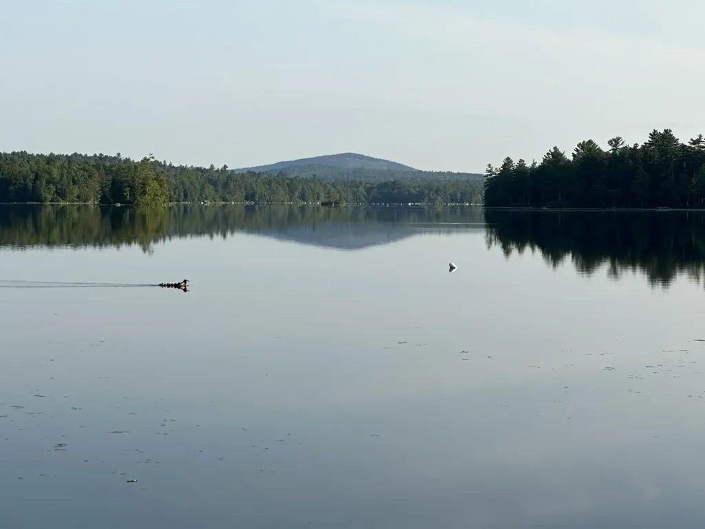 277 Gus Moore Road Penobscot ME 04476