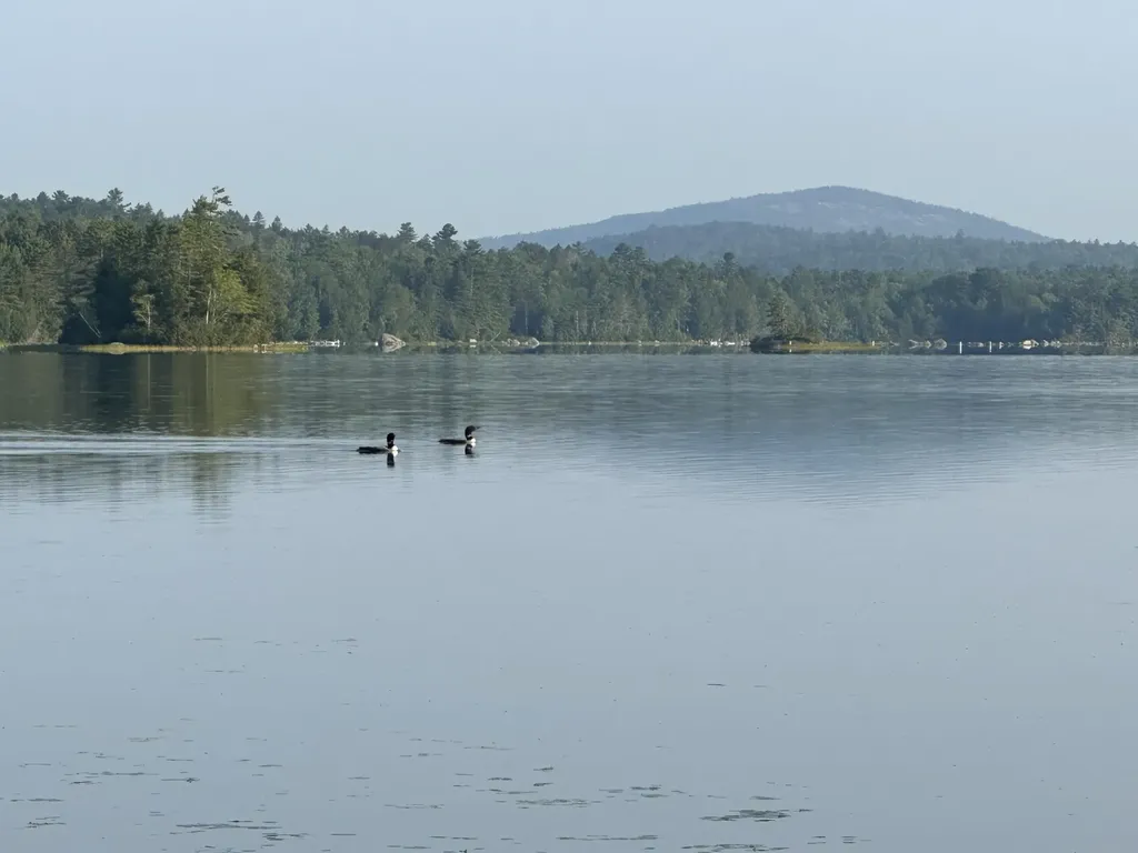 277 Gus Moore Road Penobscot ME 04476
