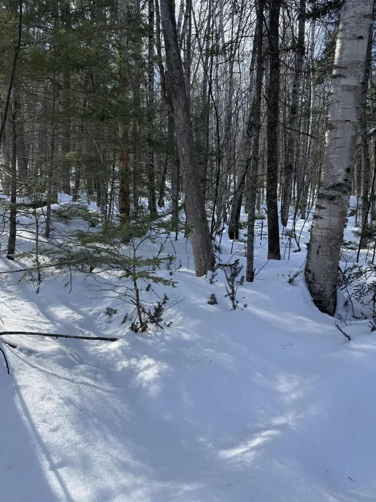 Tbd Great Moose Pond Drive Hartland ME 04943