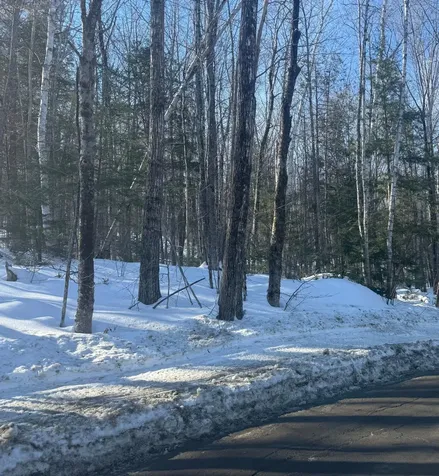 Tbd Great Moose Pond Drive Hartland ME 04943