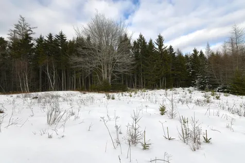 12 Lindsay's Road Deer Isle ME 04627