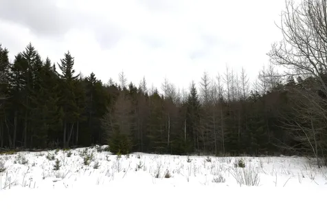 12 Lindsay's Road Deer Isle ME 04627