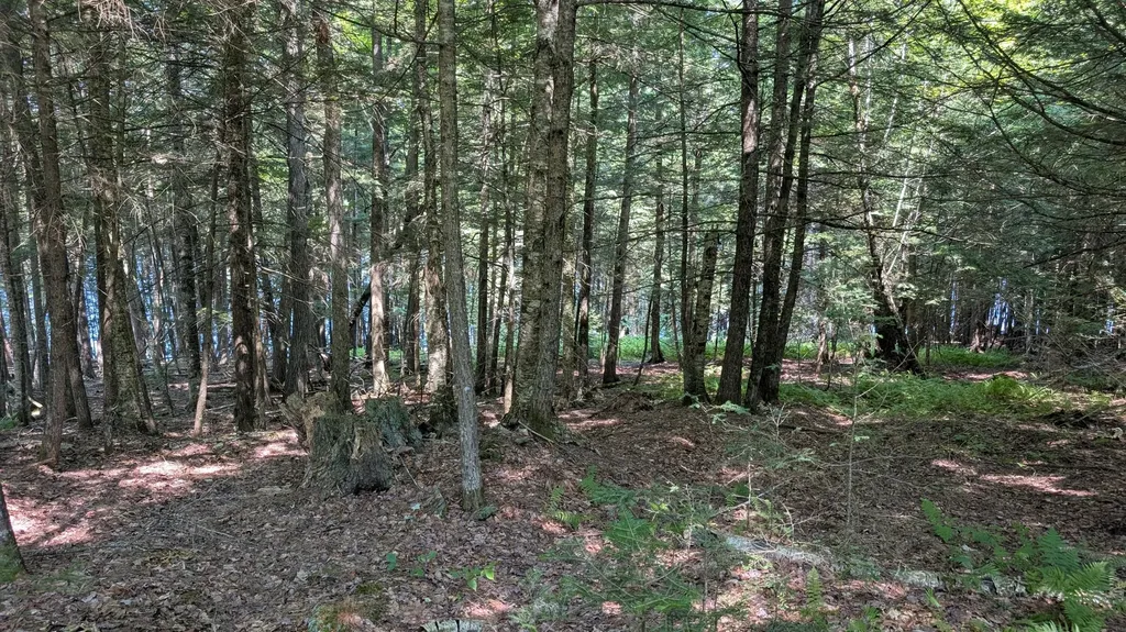Lot #8 Kolm Lane Garland ME 04939