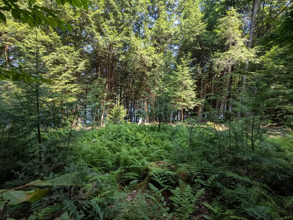 Lot #8 Kolm Lane Garland ME 04939