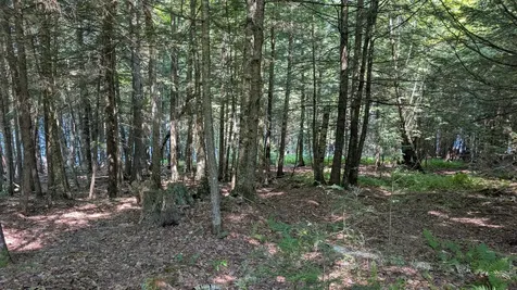 Lot #8 Kolm Lane Garland ME 04939