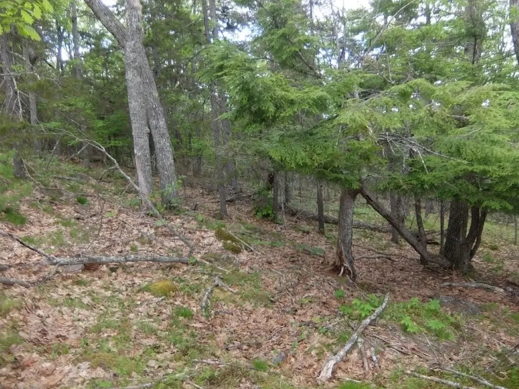 0 Hatchet Mountain Road Hope ME 04847