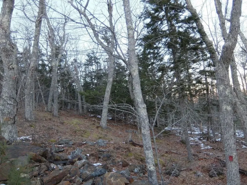 0 Hatchet Mountain Road Hope ME 04847