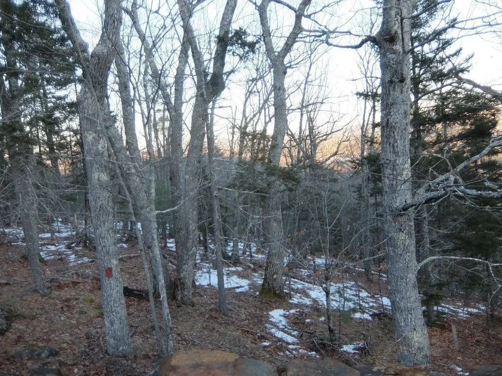 0 Hatchet Mountain Road Hope ME 04847