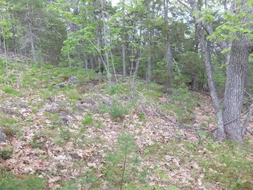 0 Hatchet Mountain Road Hope ME 04847
