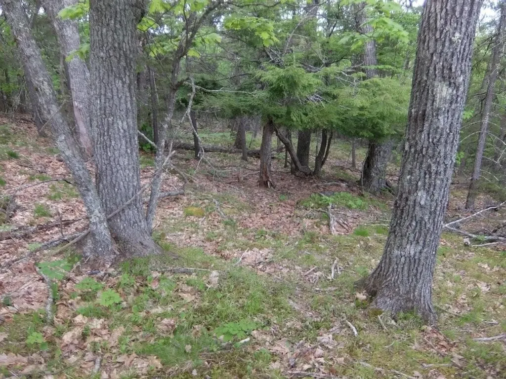0 Hatchet Mountain Road Hope ME 04847