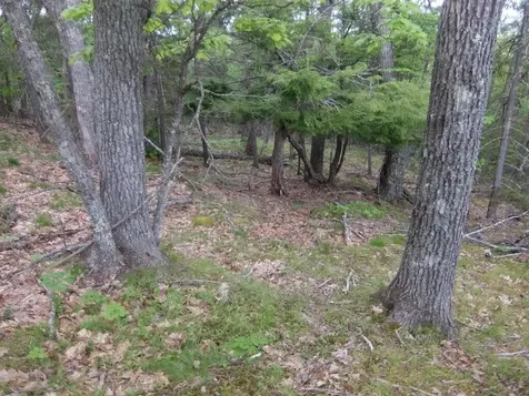 0 Hatchet Mountain Road Hope ME 04847