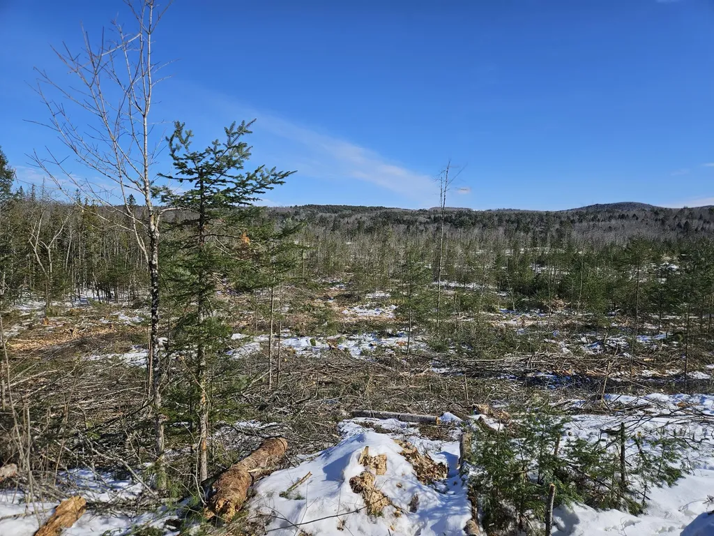 M10 L25-b Cahoon Road Chesterville ME 04938