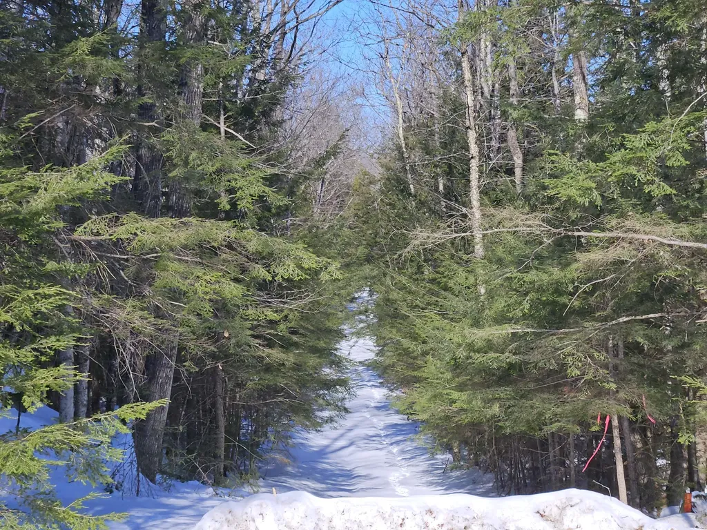 M10 L25-b Cahoon Road Chesterville ME 04938
