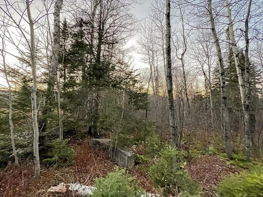 Lot 16 Mill Brook Road Sandy River Plt ME 04970
