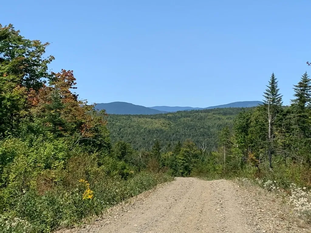 Lot 16 Mill Brook Road Sandy River Plt ME 04970