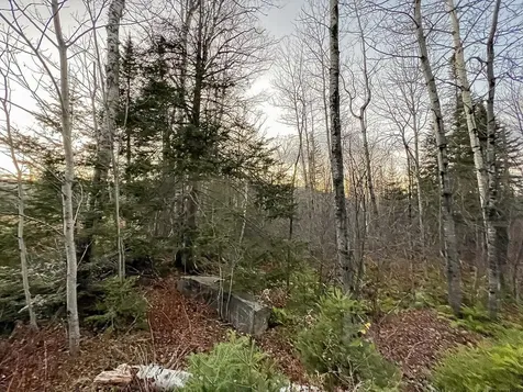 Lot 16 Mill Brook Road Sandy River Plt ME 04970