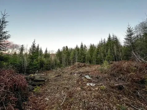 Lot 16 Mill Brook Road Sandy River Plt ME 04970