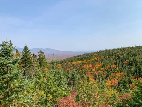 Lot 16 Mill Brook Road Sandy River Plt ME 04970