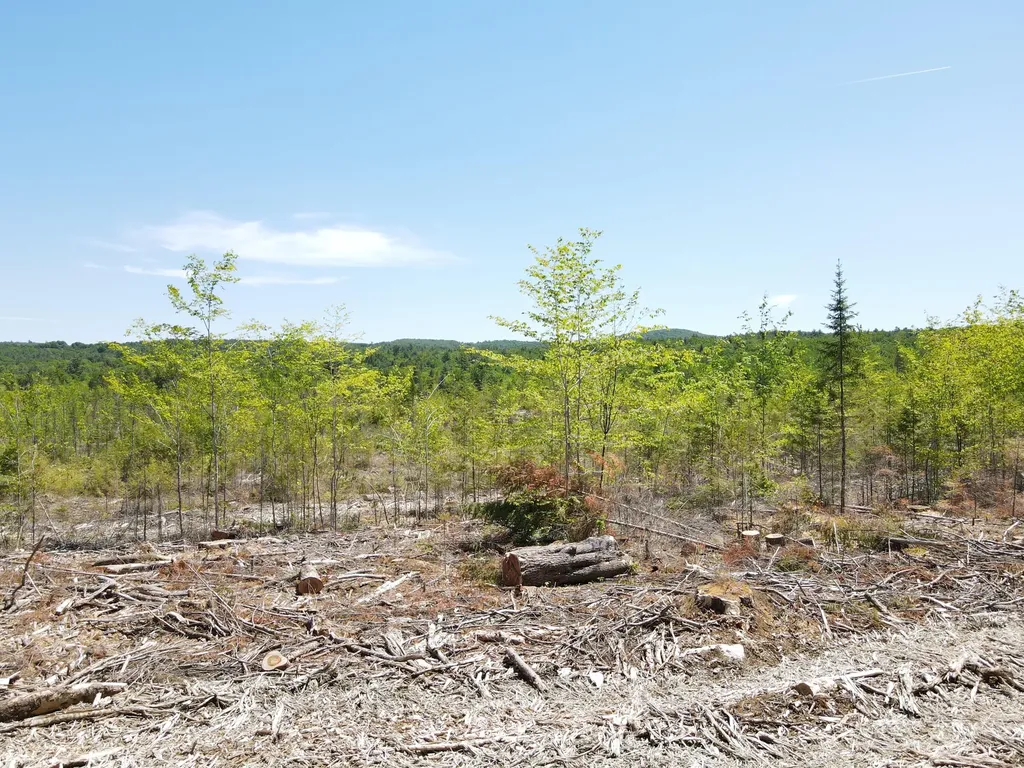 M10 L25 Cahoon Road Chesterville ME 04938