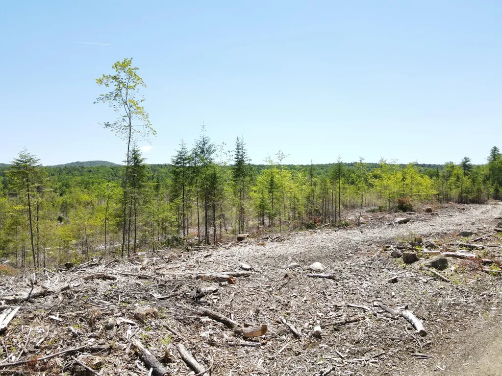 M10 L25 Cahoon Road Chesterville ME 04938