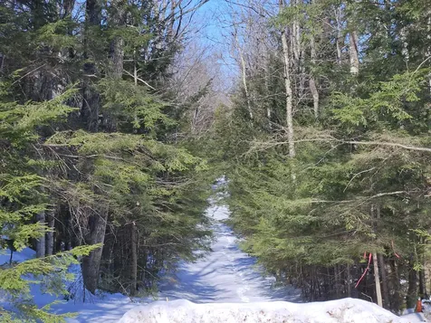 M10 L25 Cahoon Road Chesterville ME 04938