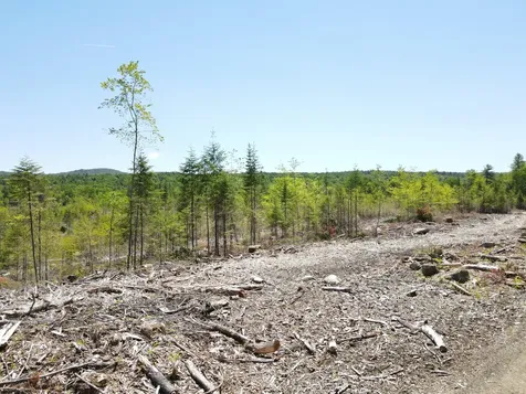 M10 L25 Cahoon Road Chesterville ME 04938